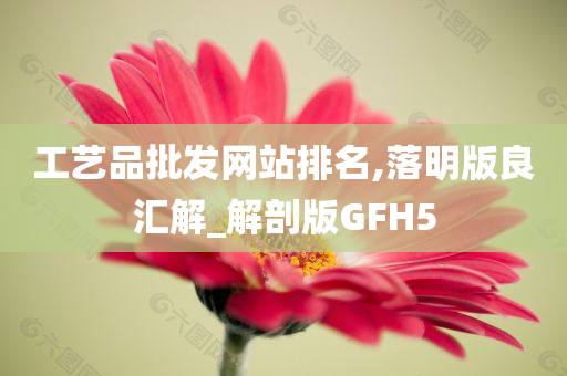 工艺品批发网站排名,落明版良汇解_解剖版GFH5