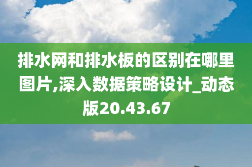 排水网和排水板的区别在哪里图片,深入数据策略设计_动态版20.43.67