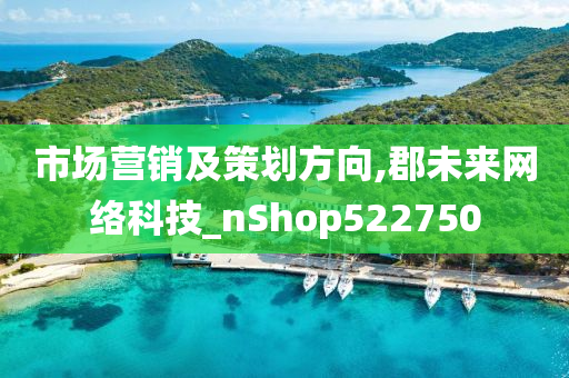 市场营销及策划方向,郡未来网络科技_nShop522750