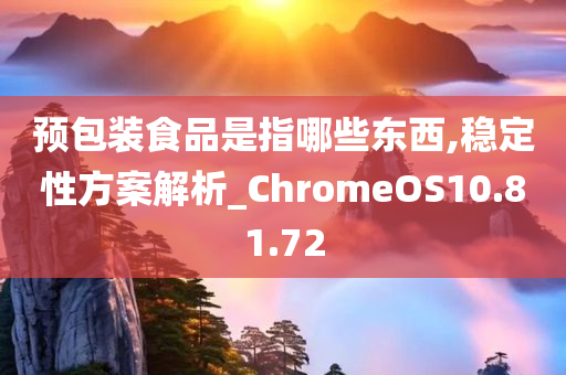 预包装食品是指哪些东西,稳定性方案解析_ChromeOS10.81.72