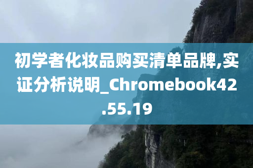 初学者化妆品购买清单品牌,实证分析说明_Chromebook42.55.19