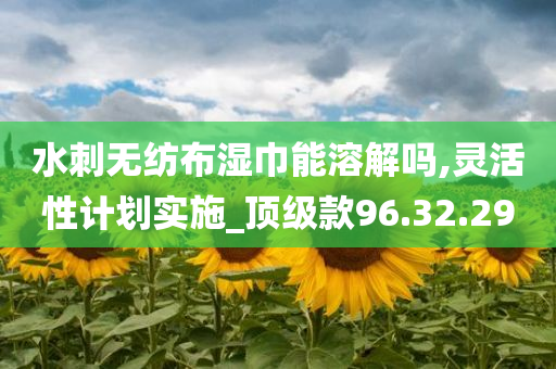 水刺无纺布湿巾能溶解吗,灵活性计划实施_顶级款96.32.29