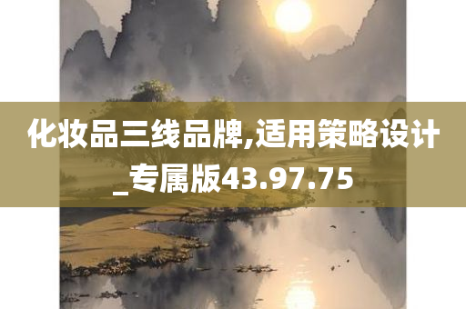 化妆品三线品牌,适用策略设计_专属版43.97.75