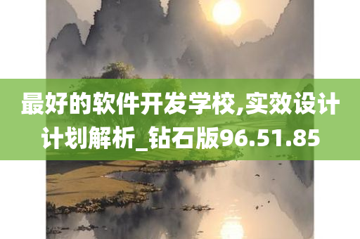 最好的软件开发学校,实效设计计划解析_钻石版96.51.85