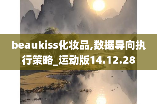 beaukiss化妆品,数据导向执行策略_运动版14.12.28