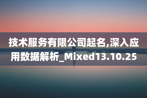 技术服务有限公司起名,深入应用数据解析_Mixed13.10.25