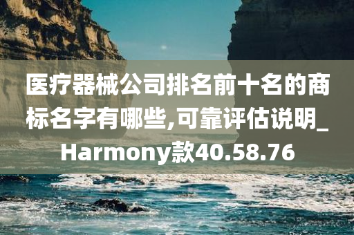 医疗器械公司排名前十名的商标名字有哪些,可靠评估说明_Harmony款40.58.76