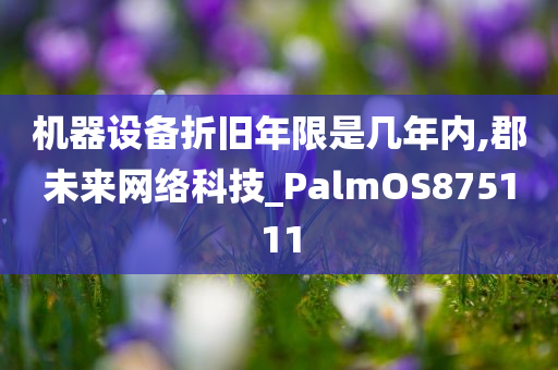 机器设备折旧年限是几年内,郡未来网络科技_PalmOS875111