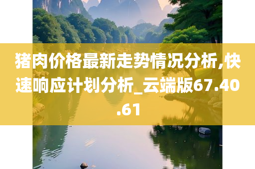 猪肉价格最新走势情况分析,快速响应计划分析_云端版67.40.61