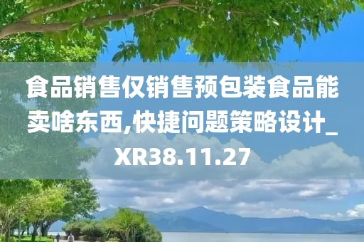 食品销售仅销售预包装食品能卖啥东西,快捷问题策略设计_XR38.11.27