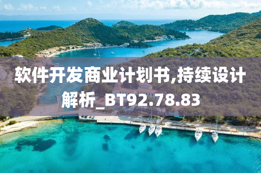 软件开发商业计划书,持续设计解析_BT92.78.83