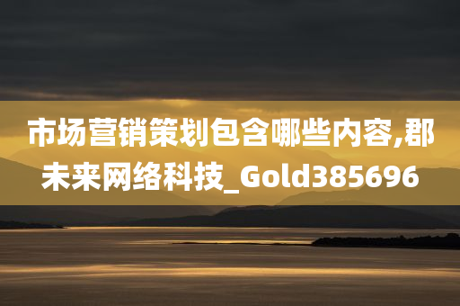 市场营销策划包含哪些内容,郡未来网络科技_Gold385696