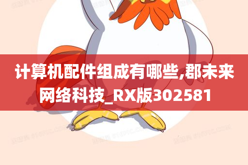 计算机配件组成有哪些,郡未来网络科技_RX版302581