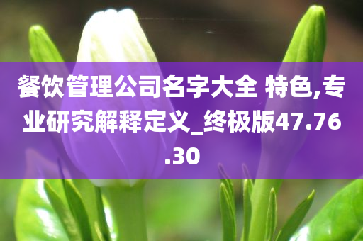 餐饮管理公司名字大全 特色,专业研究解释定义_终极版47.76.30