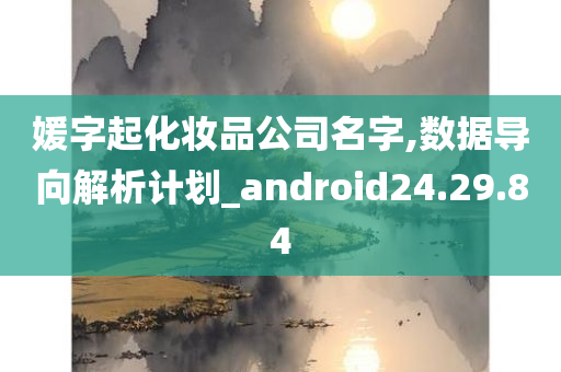 媛字起化妆品公司名字,数据导向解析计划_android24.29.84