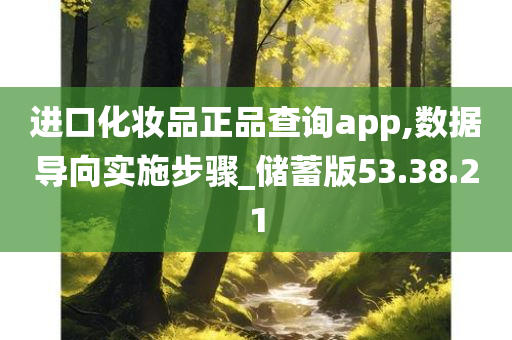 进口化妆品正品查询app,数据导向实施步骤_储蓄版53.38.21