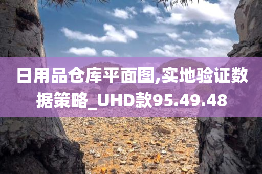 日用品仓库平面图,实地验证数据策略_UHD款95.49.48