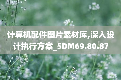 计算机配件图片素材库,深入设计执行方案_5DM69.80.87