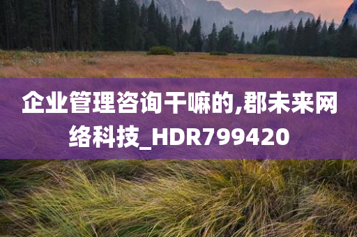 企业管理咨询干嘛的,郡未来网络科技_HDR799420