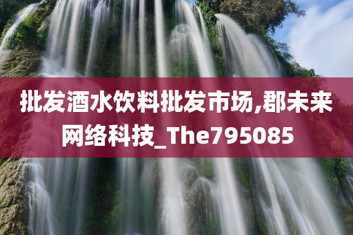 批发酒水饮料批发市场,郡未来网络科技_The795085