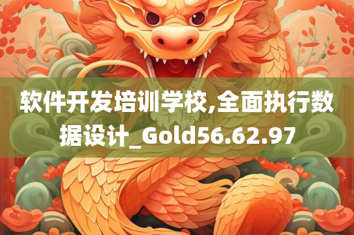 软件开发培训学校,全面执行数据设计_Gold56.62.97