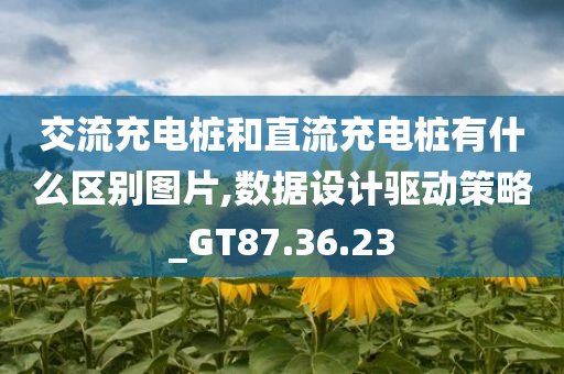 交流充电桩和直流充电桩有什么区别图片,数据设计驱动策略_GT87.36.23