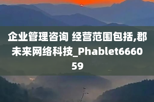 企业管理咨询 经营范围包括,郡未来网络科技_Phablet666059