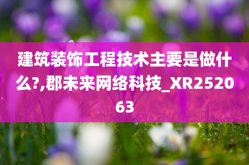 建筑装饰工程技术主要是做什么?,郡未来网络科技_XR252063