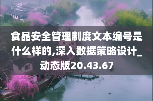 食品安全管理制度文本编号是什么样的,深入数据策略设计_动态版20.43.67