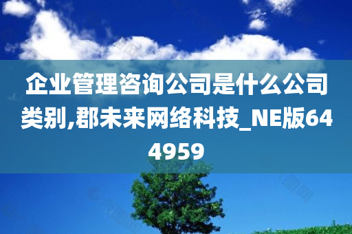 企业管理咨询公司是什么公司类别,郡未来网络科技_NE版644959