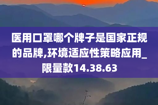 医用口罩哪个牌子是国家正规的品牌,环境适应性策略应用_限量款14.38.63