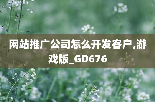 网站推广公司怎么开发客户,游戏版_GD676