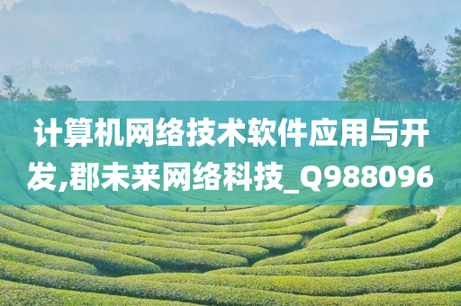 计算机网络技术软件应用与开发,郡未来网络科技_Q988096