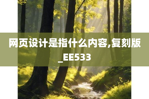 网页设计是指什么内容,复刻版_EE533