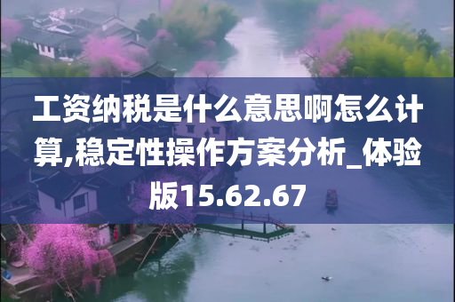 工资纳税是什么意思啊怎么计算,稳定性操作方案分析_体验版15.62.67