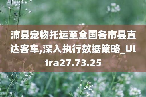 沛县宠物托运至全国各市县直达客车,深入执行数据策略_Ultra27.73.25