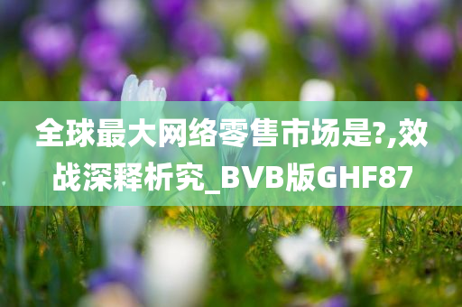 全球最大网络零售市场是?,效战深释析究_BVB版GHF87