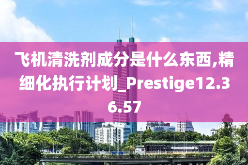 飞机清洗剂成分是什么东西,精细化执行计划_Prestige12.36.57