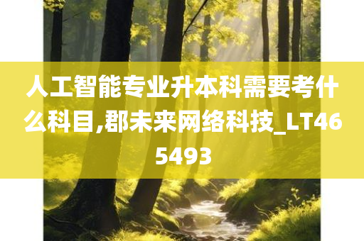 人工智能专业升本科需要考什么科目,郡未来网络科技_LT465493