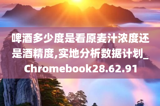 啤酒多少度是看原麦汁浓度还是酒精度,实地分析数据计划_Chromebook28.62.91