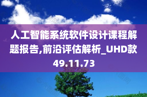 人工智能系统软件设计课程解题报告,前沿评估解析_UHD款49.11.73