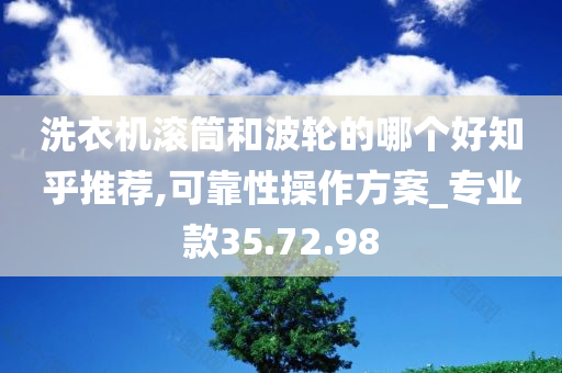 洗衣机滚筒和波轮的哪个好知乎推荐,可靠性操作方案_专业款35.72.98