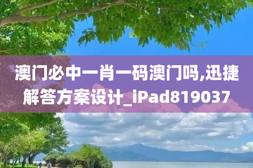 澳门必中一肖一码澳门吗,迅捷解答方案设计_iPad819037