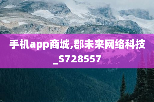 手机app商城,郡未来网络科技_S728557