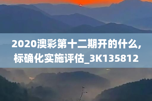 2020澳彩第十二期开的什么,标确化实施评估_3K135812