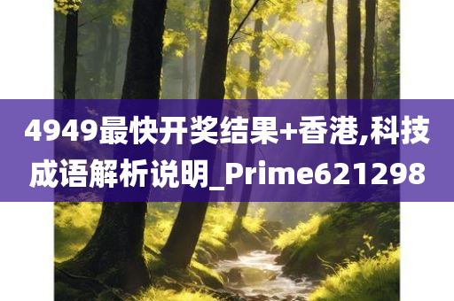 4949最快开奖结果+香港,科技成语解析说明_Prime621298