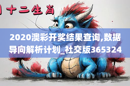 2020澳彩开奖结果查询,数据导向解析计划_社交版365324