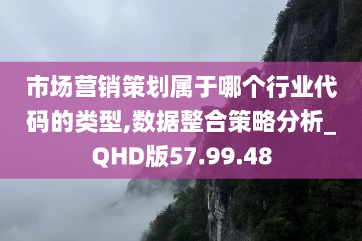 市场营销策划属于哪个行业代码的类型,数据整合策略分析_QHD版57.99.48