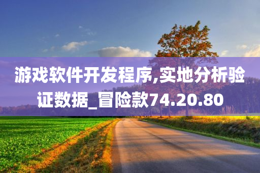 游戏软件开发程序,实地分析验证数据_冒险款74.20.80