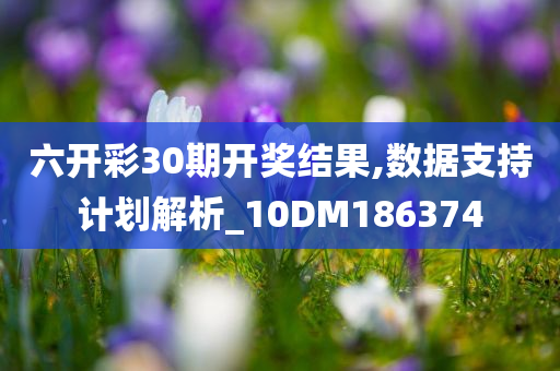 六开彩30期开奖结果,数据支持计划解析_10DM186374